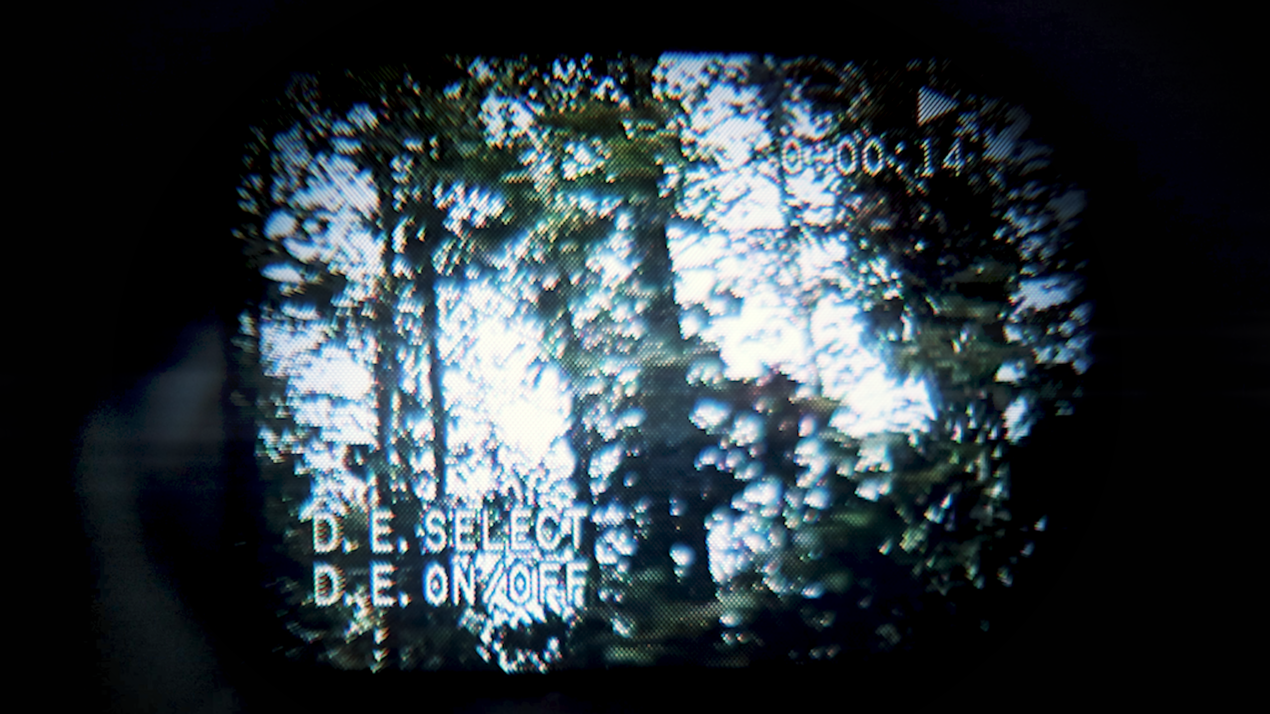 camcorder_trees-scaled