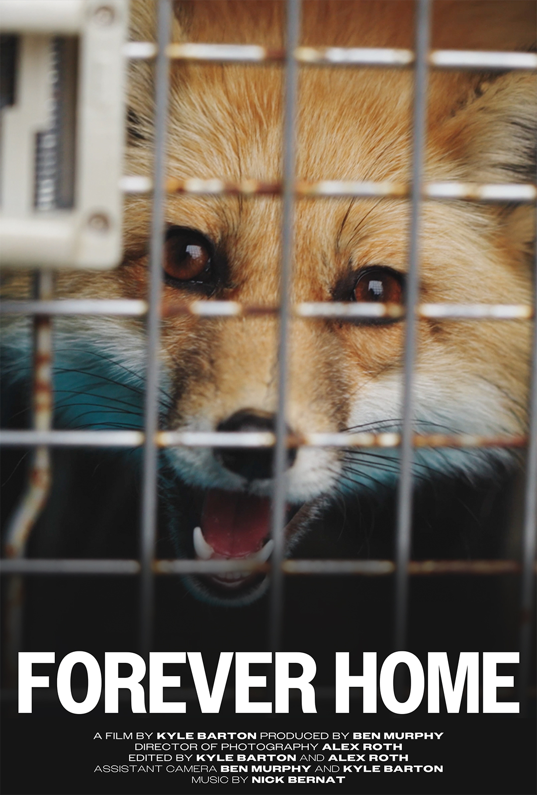 1080x1600ForeverHome Poster
